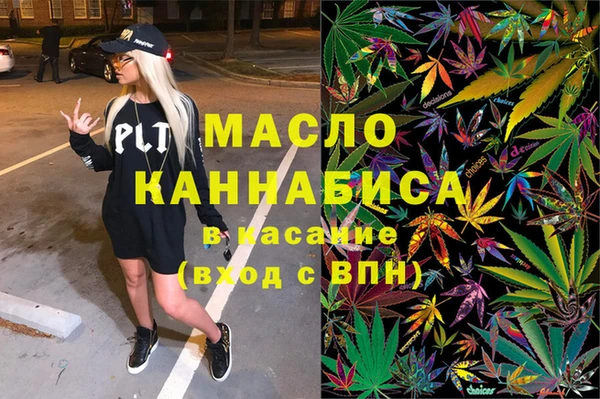 хмурый Аркадак