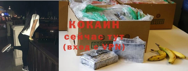 хмурый Аркадак