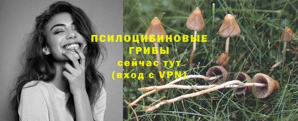 спайс Армянск