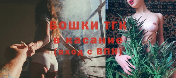 хмурый Аркадак