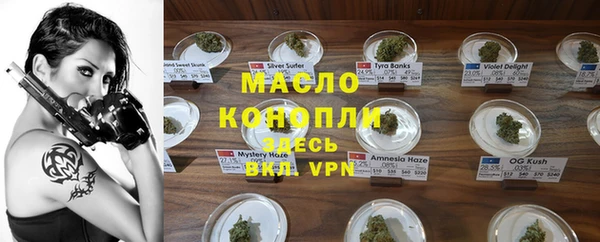 хмурый Аркадак