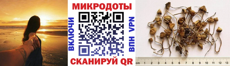 ссылка на мегу рабочий сайт  Мезень  Псилоцибиновые грибы Magic Shrooms 